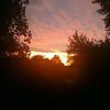ruby_petterson